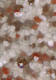 BC-101