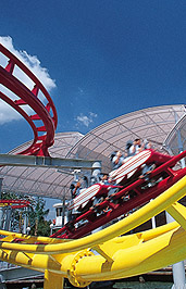 Roller Coaster